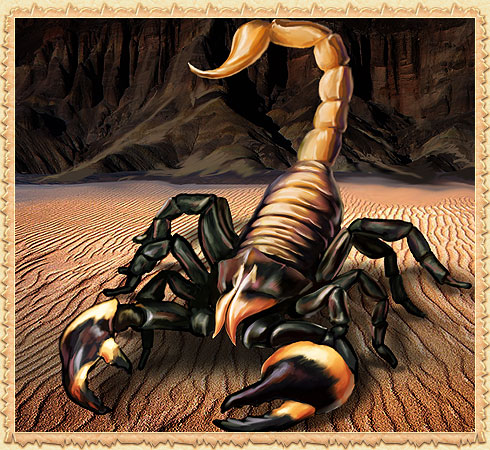 Large Scorpion