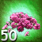 Lost Wager - victories 50
