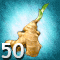 Shoots and Roots 50