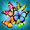 Collector of Butterflies