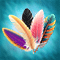 Collector of Feathers