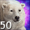 Polar Bear's nightmare