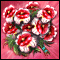Flowerbed Master in Love