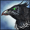 Corvus master