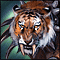 Poisonous Luan Tiger master