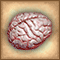 Brain