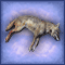 Slain Wolf Carcass