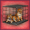 Cage of Douji