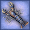 Edible Crayfish