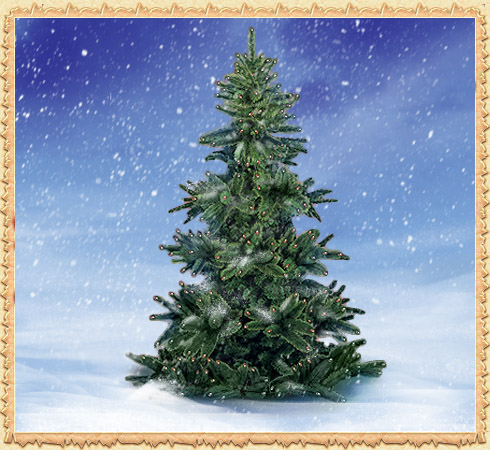 Christmas Tree